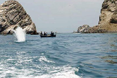 Dynamitfischer in der Supay Bucht.