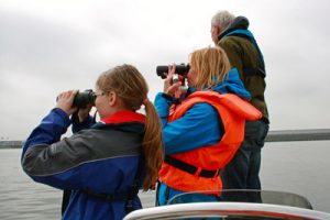 Schweinswalsuche in der Elbe: mit dabei die interessierte junge Journalistin Rebecca Sch. (15 Jahre) und die GRD-Biologin Denise Wenger, beide halten von einem Zodiac aus stehend mit Ferngläsern Ausschau nach Schweinswalen